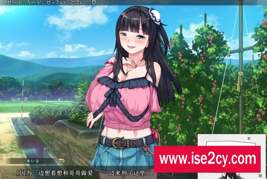 图片[3]-【SD/2D/日式ADV/拔作精品】DSKBJCS-和三名小恶魔的夏日 双端AI精翻【1.5G】-塔洛斯ACG